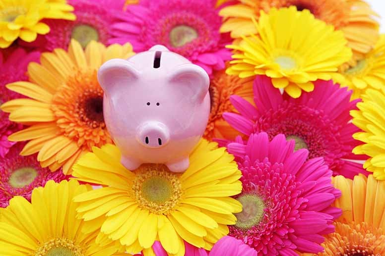 Määräaikaistalletusten korot nollilla – mistä pankeista saa korkoa talletukselle?