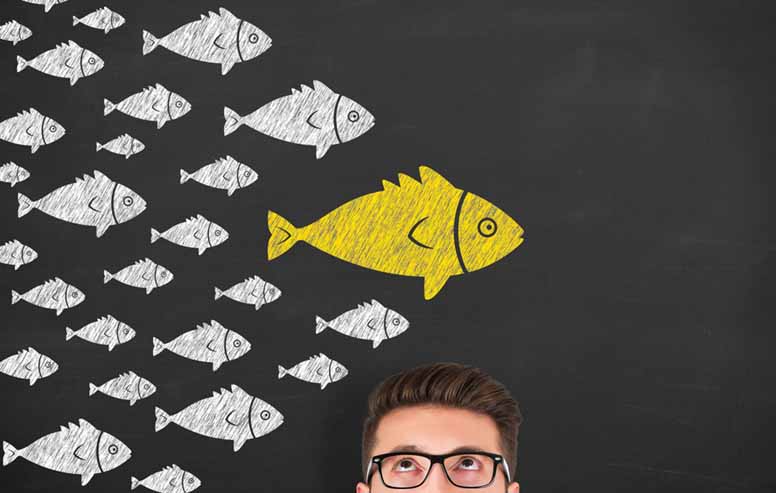 Liitutaulu ja keltainen kala