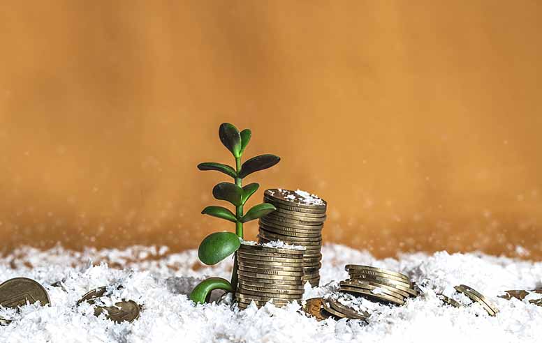 Rahaa, lunta ja rahapuu