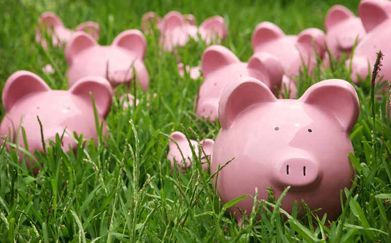 Säästöpossut ruohikossa