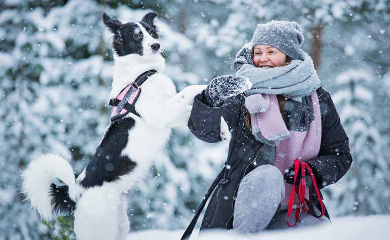 Nainen ja koira leikkivät lumessa