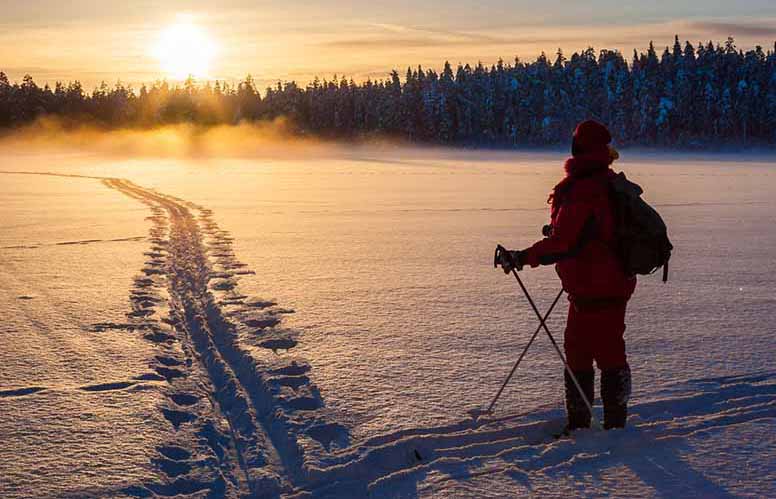 Minne säästöt? Tässä valikoima osake-, yhdistelmä- ja korkorahastoja