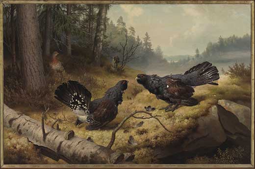 Ferdinand von Wright: Taistelevat metsot, 1886, öljy kankaalle, 124,0 x 188,5 cm. Ateneumin taidemuseo. Kuva: Kansallisgalleria/Yehia Eweis.