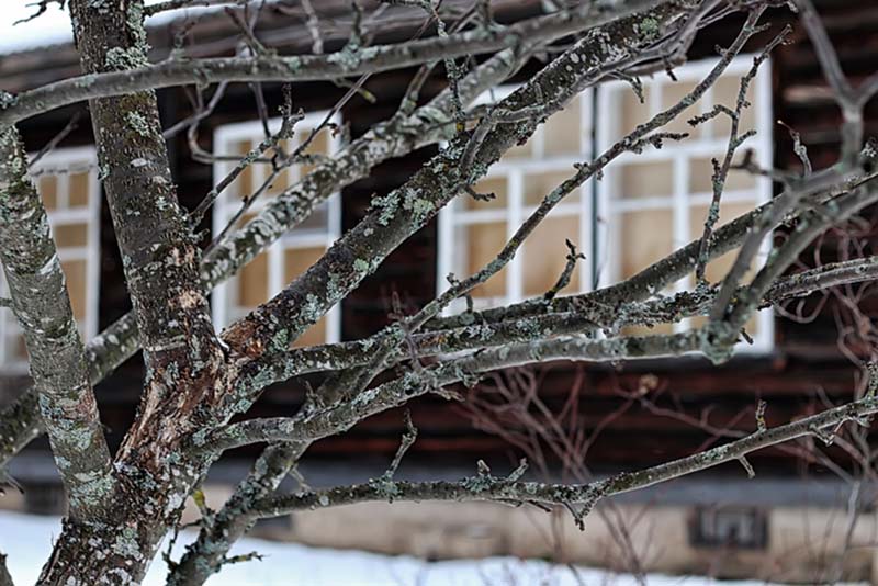 Mistä vuokramökki talvilomaksi?