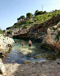 Meren poukamissa riittää tutkittavaa. Kuva Pekkä Virolainen