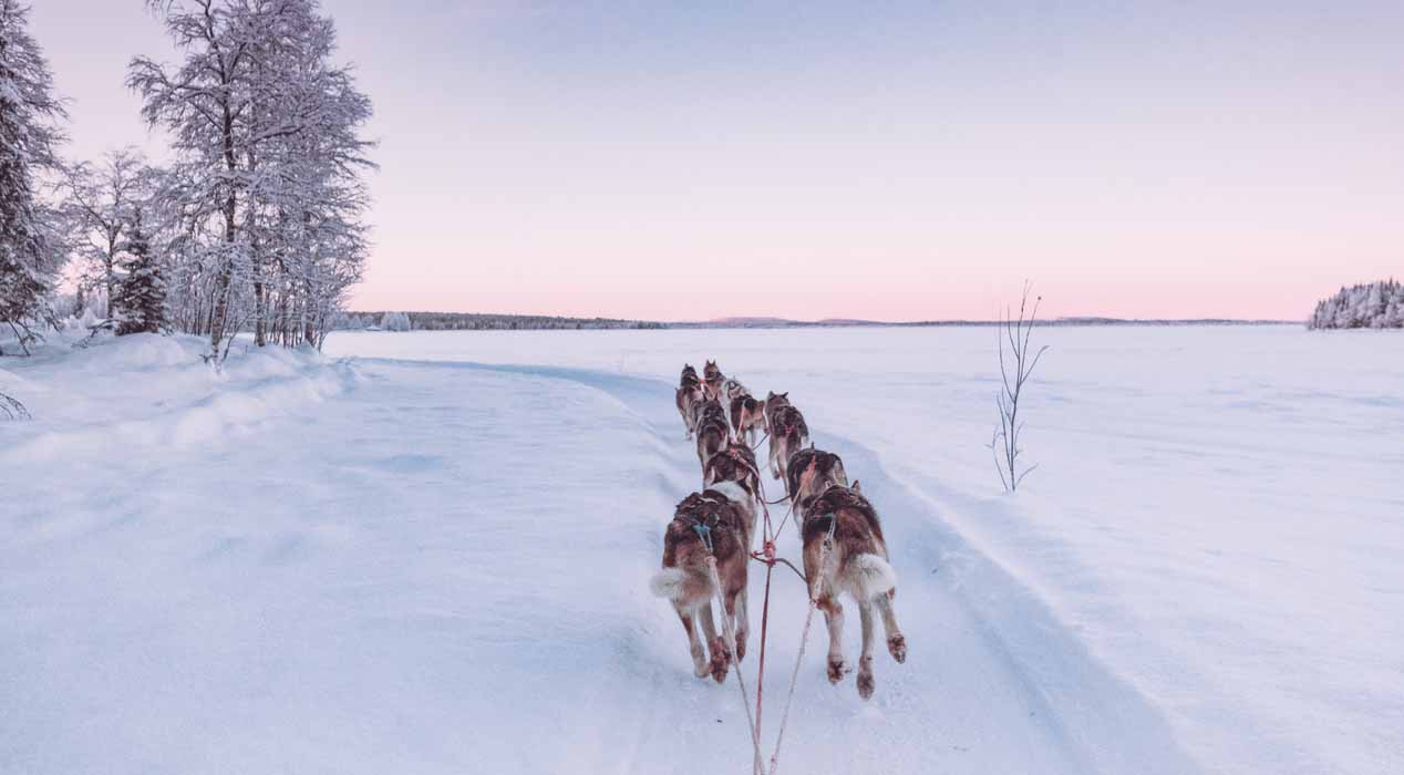 Hyskyajelulla Lapissa