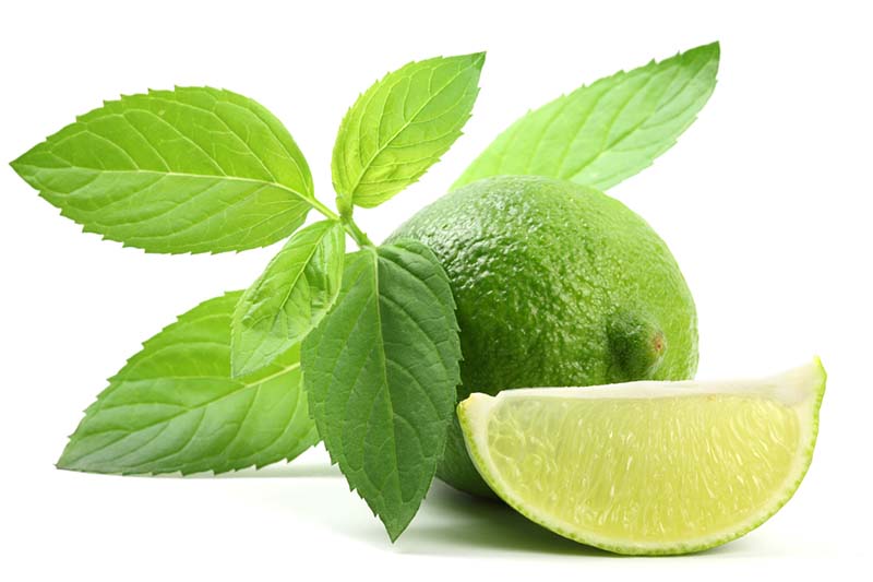 Minttu ja lime