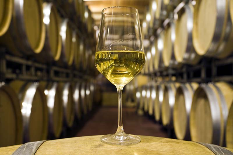 1 + 9 viinit – viininystävän hemmotteluviini tulee Lombardiasta