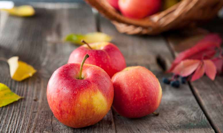 Syksy maistuu omenalta – omenainen valkoviini sopii kalan ja äyriäisten kera
