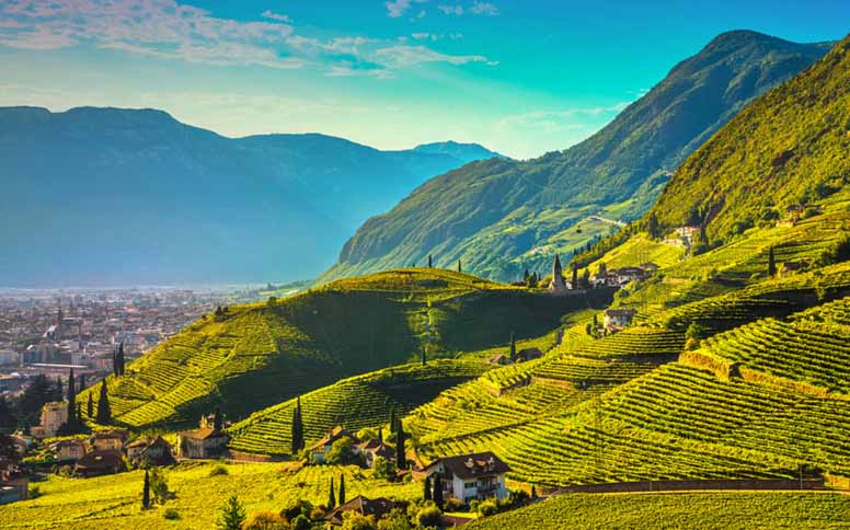 Euroopan erityiset viinit – persoonallisia makuja Alppien naapurista