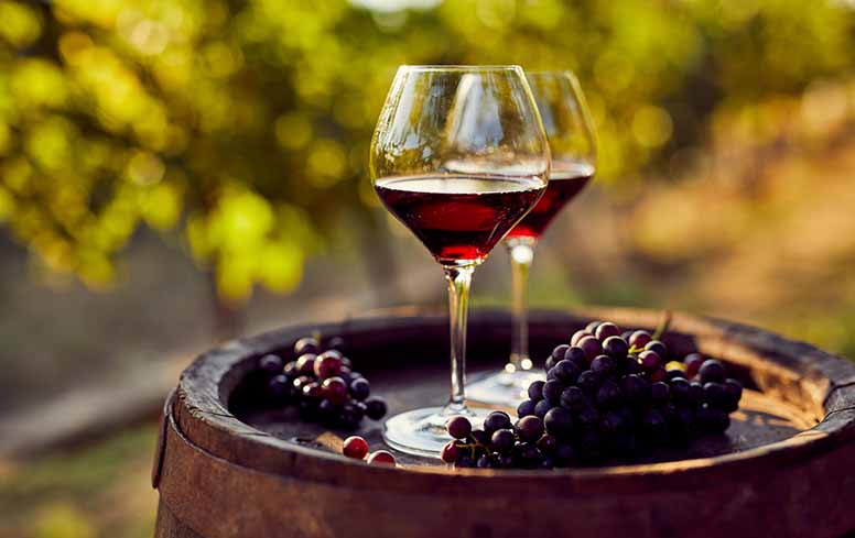 Mitä viiniä kannattaisi vuodelta 2022 ostaa? Paina mieleesi Bourgogne ja Toscana