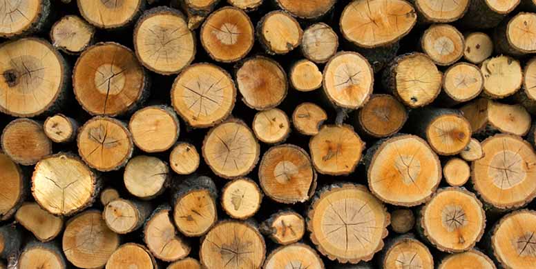Ahtiumin osakkeista 10 000 euron tappio – voinko vähentää tappioni puunmyyntituloista?